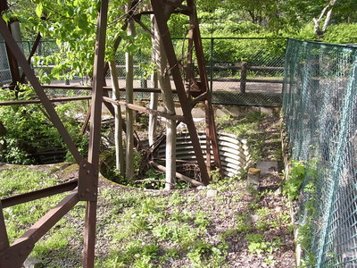 奥多摩湖ロープウエイの鉄塔の根本